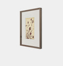 Meadow Rue No.3 Framed Print