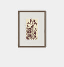 Meadow Rue No.5 Framed Print