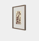 Meadow Rue No.5 Framed Print