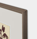 Meadow Rue No.5 Framed Print