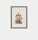 Meadow Rue No.6 Framed Print