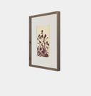Meadow Rue No.6 Framed Print