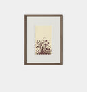 Meadow Rue No.7 Framed Print