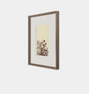 Meadow Rue No.7 Framed Print