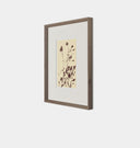 Meadow Rue No.8 Framed Print