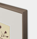 Meadow Rue No.8 Framed Print