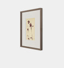 Meadow Rue No.9 Framed Print