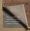 Molly MOL-09 Brick / Bark Area Rug