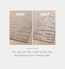 Monty MOT-04 Taupe / Beige Area Rug
