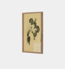 Petite Study No. VII by Hannah Winters Framed Print