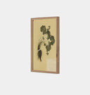 Petite Study Triptych by Hannah Winters Framed Print