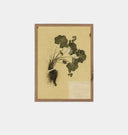 Petite Study Triptych by Hannah Winters Framed Print