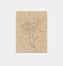 Small Contour Flower