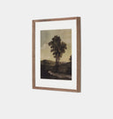 Tapisserie IV No. II by Hannah Winters Framed Print