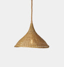 Wilder Outdoor Pendant