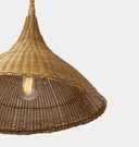 Wilder Outdoor Pendant