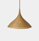 Wilder Outdoor Pendant