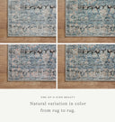 Billie BIL-05 Denim / Blush Area Rug