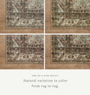 Billie BIL-03 Clay / Sage Area Rug