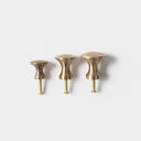 Brass Knob