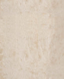 Camel Shearling Sample